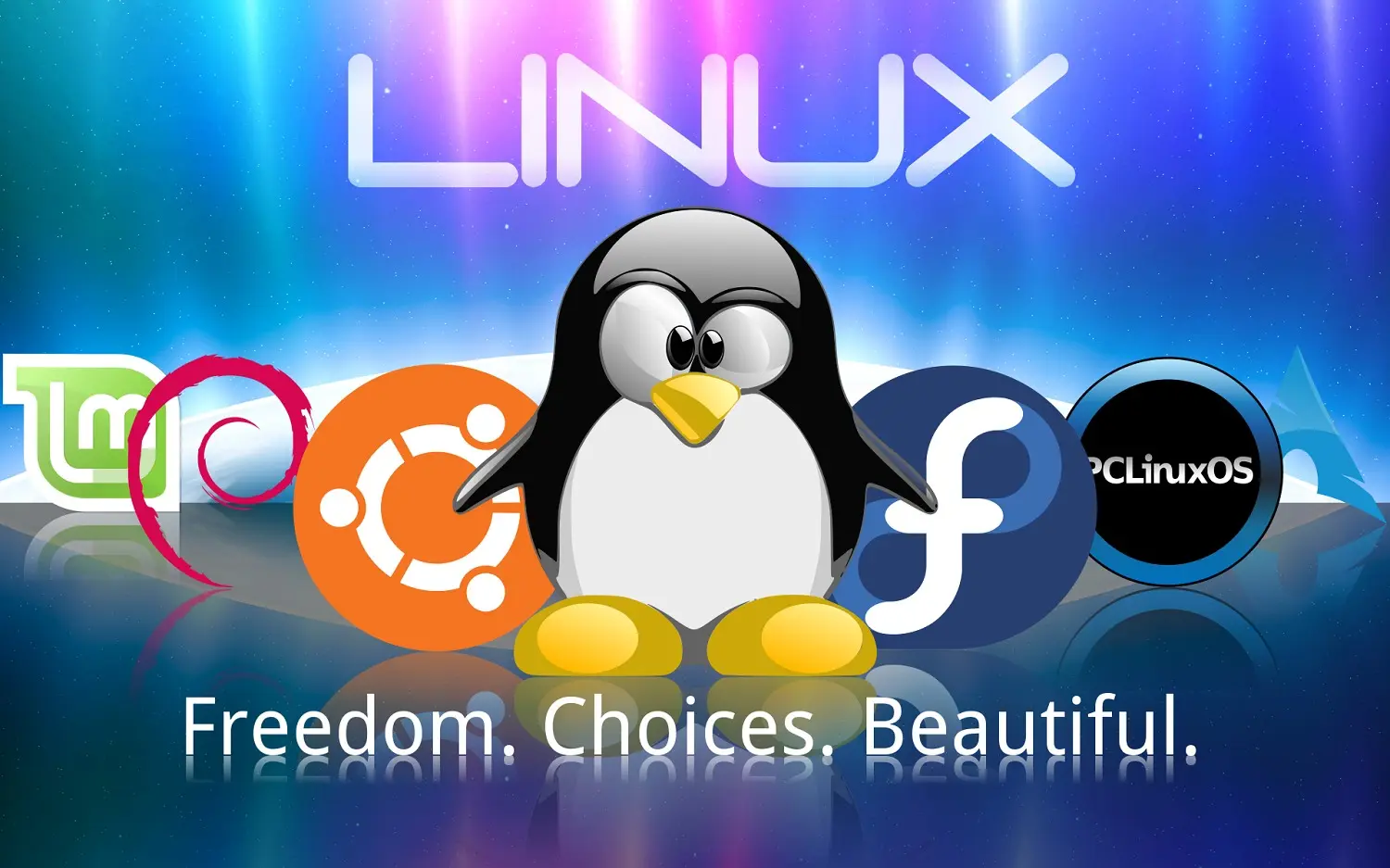 Linux Scelta distribuioni computer vecchi