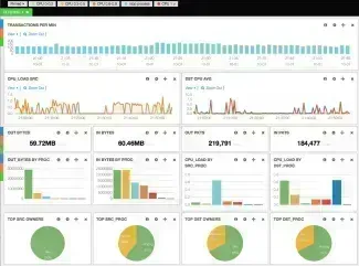Bandwidth monitor ntop