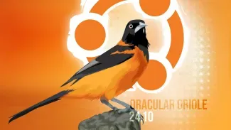 Ubuntu 24.10 logo
