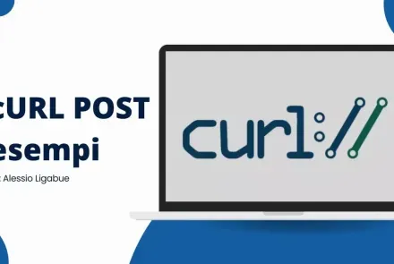 Hero cURL POST with examples